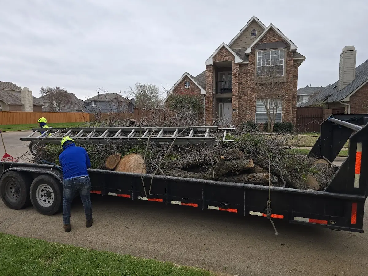 Expert Tree Fertilization with proper safety equipment in Harrisville